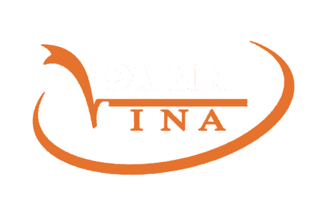 Đại Minh Vina